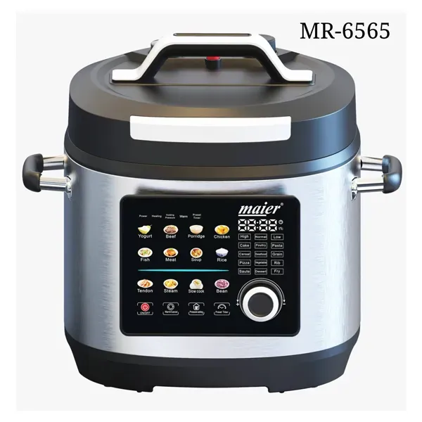 مولتی کوکر ۶۵۶۵